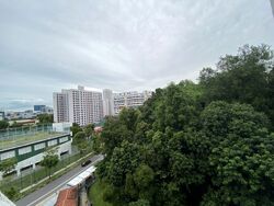 bukit-batok-street-21 photo thumbnail #11